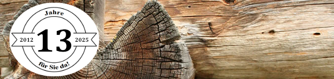 Ecofan - Holzofenventilator